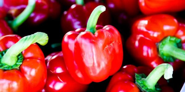 peppers-all-red